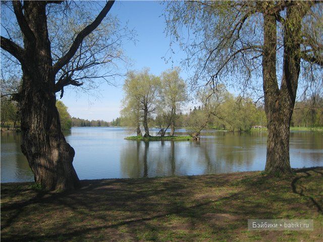 Элиза Глассголд