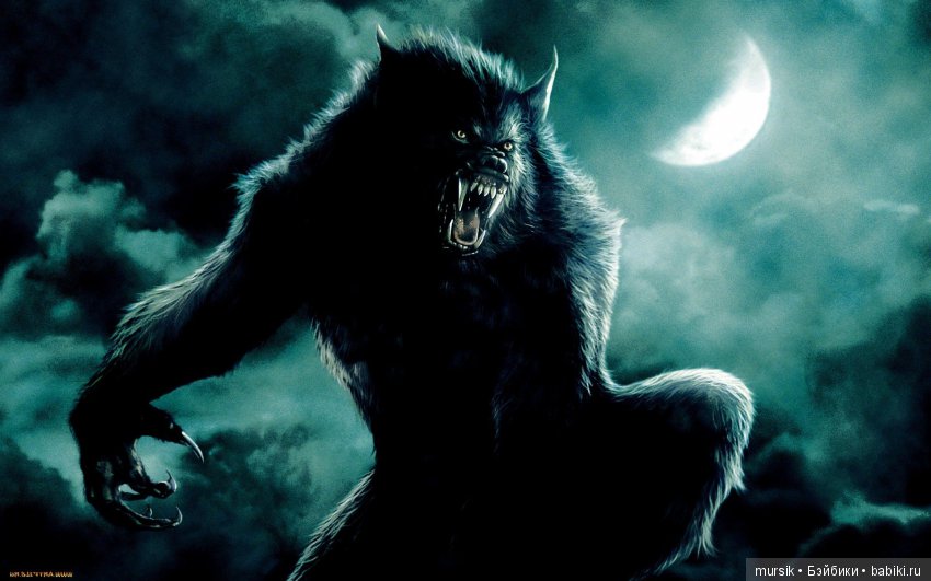 Жизнь вампирского семейства. Истории в парах