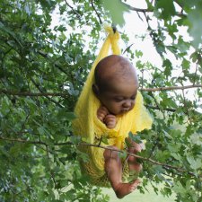 Ками-Роуз, Бабочка-Мулатка