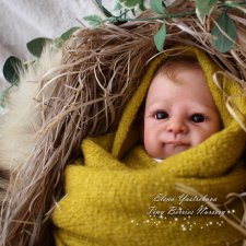 Реборнята января