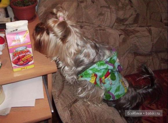 Мое небольшое кукольное семейство