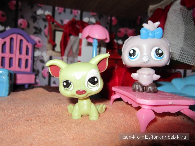 Маленькая коллекция Pet Shop