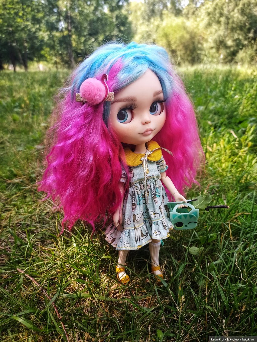 Малышки Блайз. Часть 2 — Разные шарнирные куклы (не БЖД): редкие