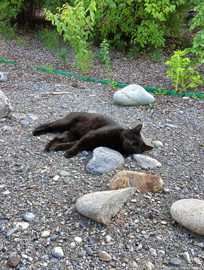Мини-отпуск в Горном Алтае
