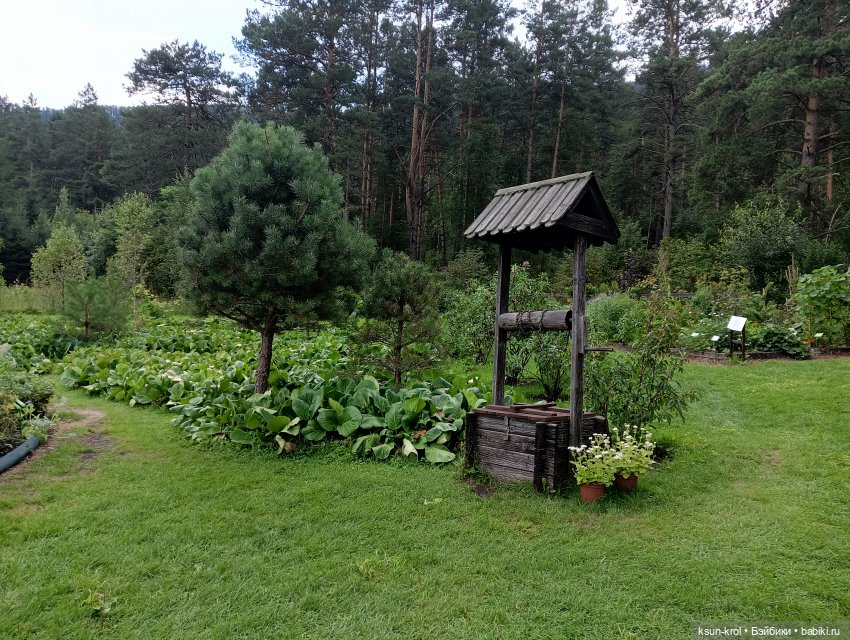 Мини-отпуск в Горном Алтае