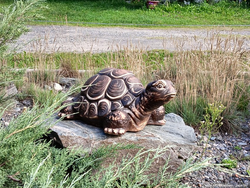 Мини-отпуск в Горном Алтае