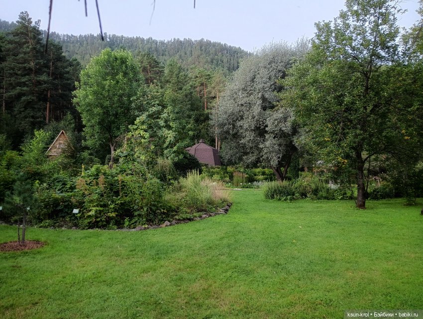 Мини-отпуск в Горном Алтае (фото 9)