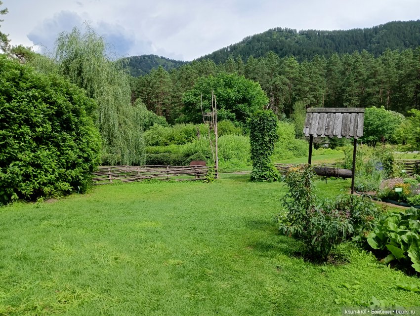 Мини-отпуск в Горном Алтае