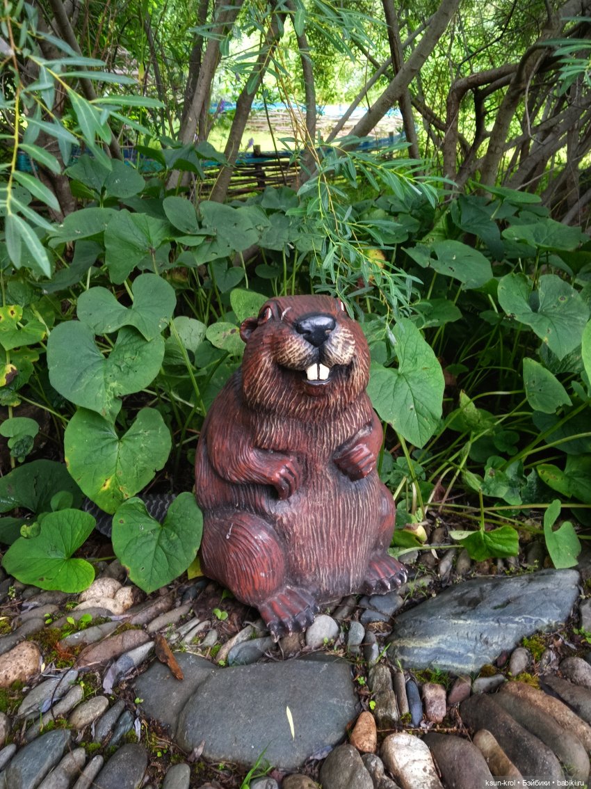 Мини-отпуск в Горном Алтае