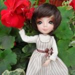 Жёлто-голубой автобус или как я полюбила кукол милим