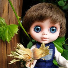 Эти непоседы Биггерсы. Воспоминание о лете