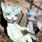 Коты прилетели... первые вестники весны
