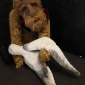 "Человекомедведи" гениального автора, Аллы Батиной