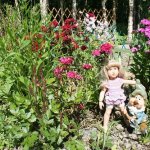 Мои помощники..