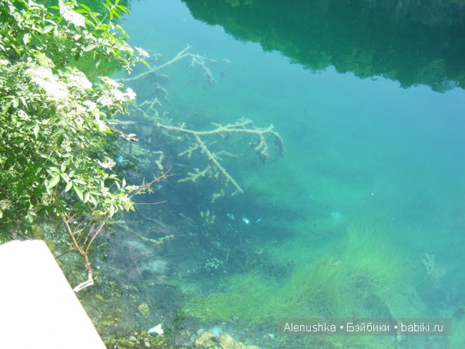 Первая поездка Алисы. Голубые озёра в Кабардино-Балкарии (фото 2)