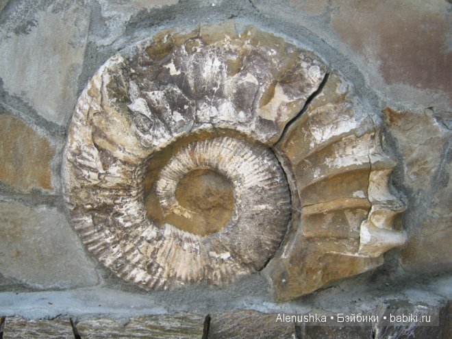 Первая поездка Алисы. Голубые озёра в Кабардино-Балкарии (фото 7)