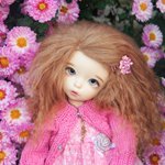 Моя Адель. LittleFee Ante.