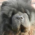 Понедельник - день тяжёлый