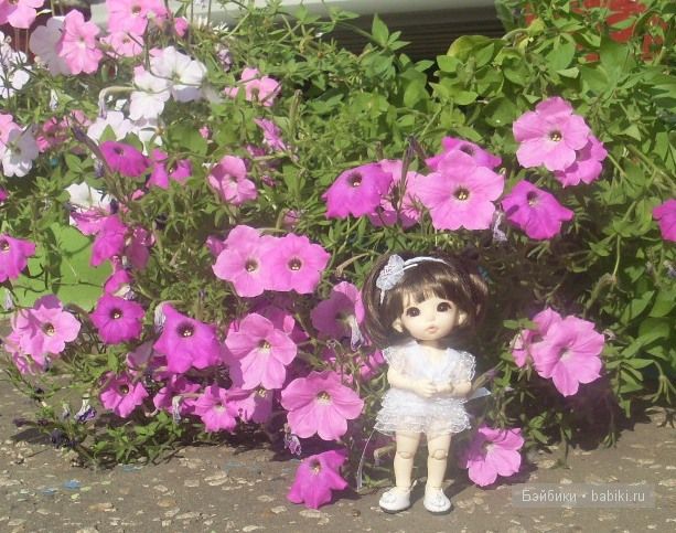 Цветик-семицветик Цветик-семицветик