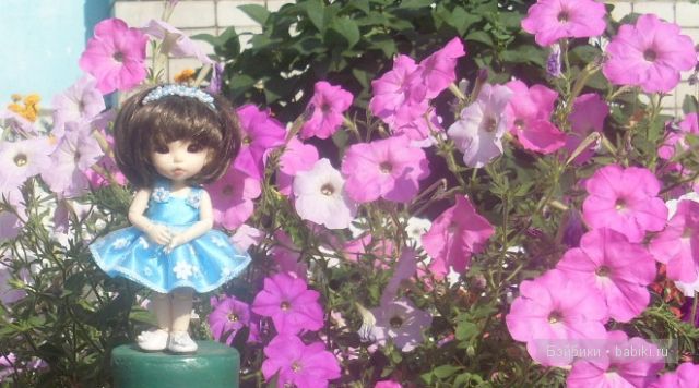 Цветик-семицветик Цветик-семицветик