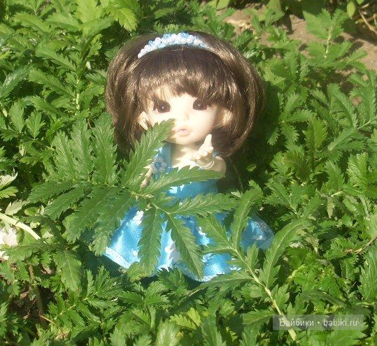 Цветик-семицветик Цветик-семицветик