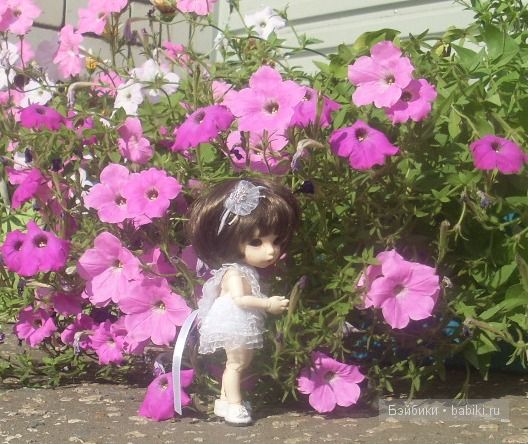 Цветик-семицветик Цветик-семицветик