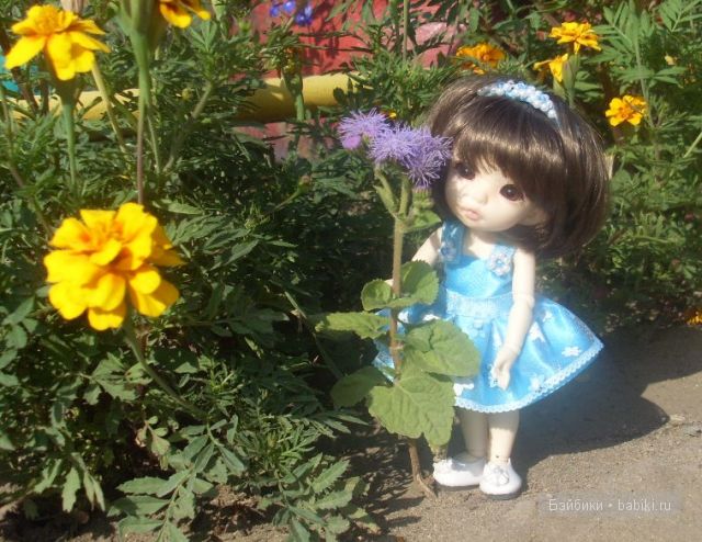 Цветик-семицветик Цветик-семицветик