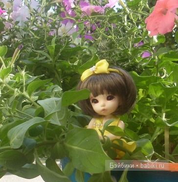 Цветик-семицветик Цветик-семицветик