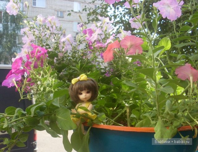 Цветик-семицветик Цветик-семицветик