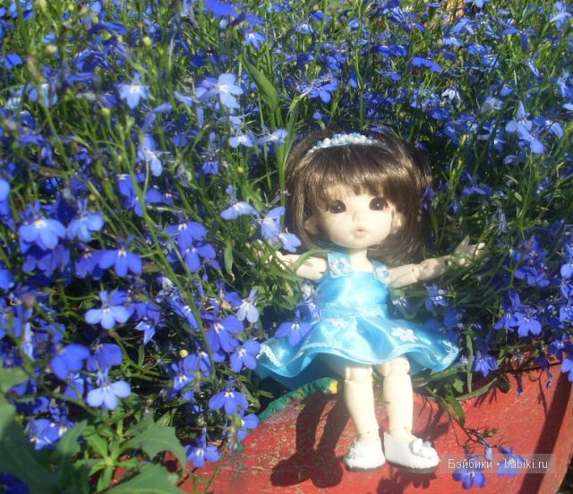 Цветик-семицветик Цветик-семицветик