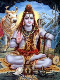 Шива: знакомство с Индией. Shiva от Monika Levenig | Бэйбики Шива: знакомство с Индией. Shiva от Monika Levenig