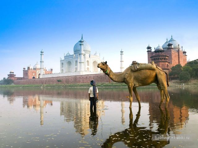 Шива: знакомство с Индией. Shiva от Monika Levenig | Бэйбики Шива: знакомство с Индией. Shiva от Monika Levenig (фото 8)