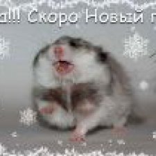 Последний месяц до Нового года! Приятные мелочи, поднимающие настроение