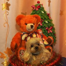 Плюшевые поздравления