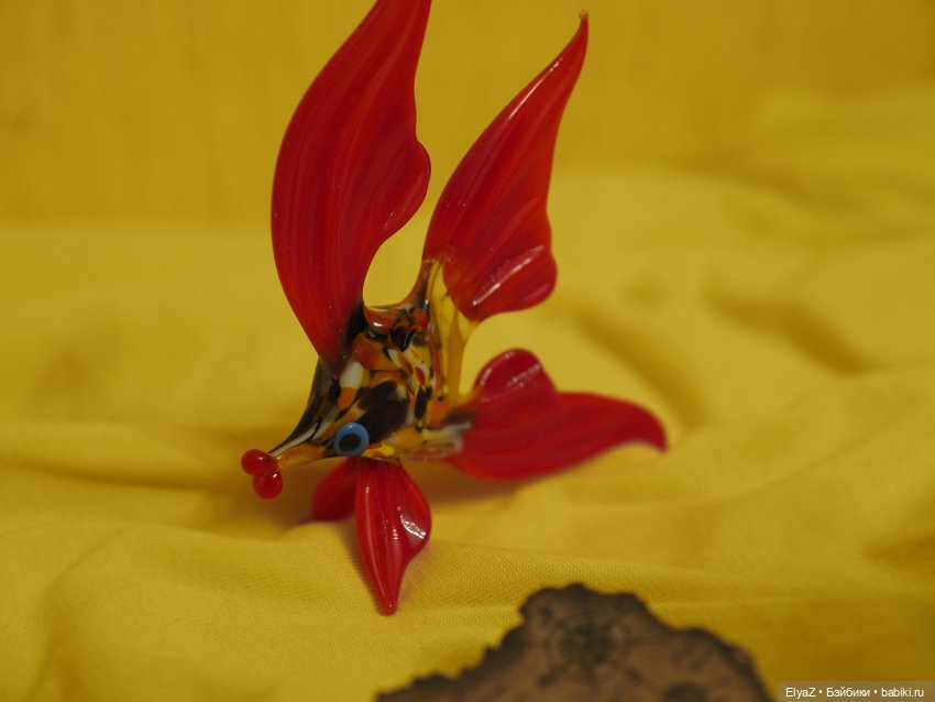 Пиратская история, часть 1 (фото 7)