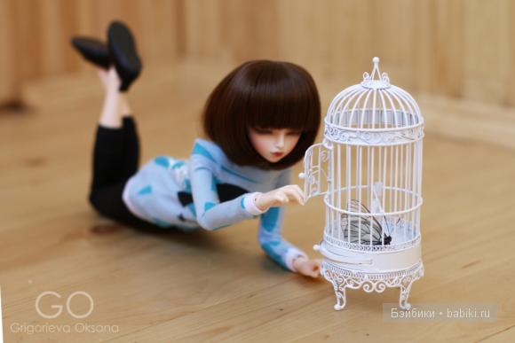 минифи Рейя минифи Рейя