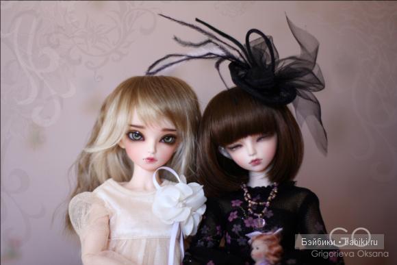 фериленд минифи рейя фериленд минифи рейя