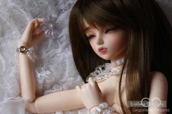 фериленд минифи рейя фериленд минифи рейя