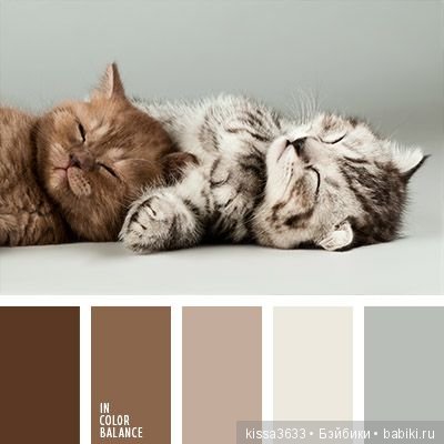 Лexibt сочетания цветов в природе