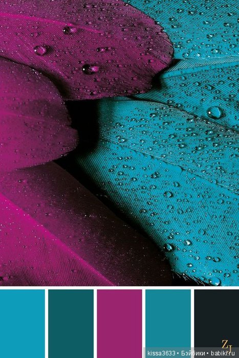 Лexibt сочетания цветов в природе