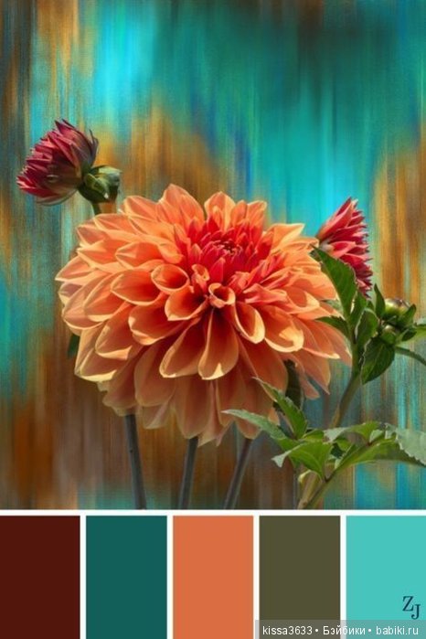 Лexibt сочетания цветов в природе