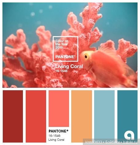 Лexibt сочетания цветов в природе