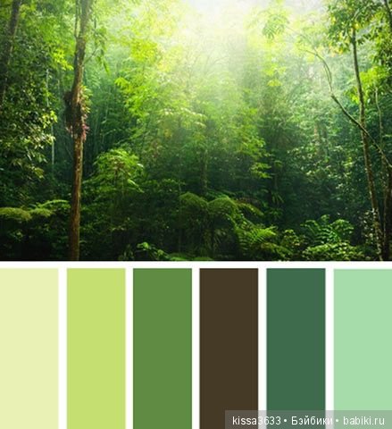 Лexibt сочетания цветов в природе (фото 8)