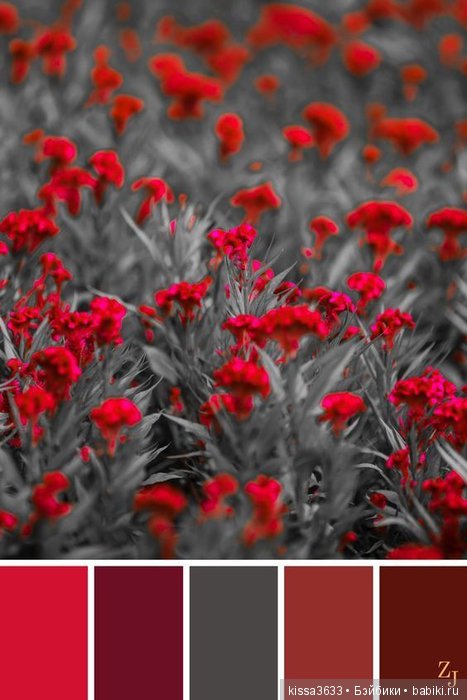 Лexibt сочетания цветов в природе