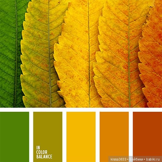 Лexibt сочетания цветов в природе (фото 7)