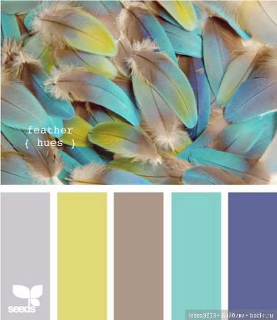 Лexibt сочетания цветов в природе