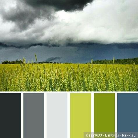 Лexibt сочетания цветов в природе