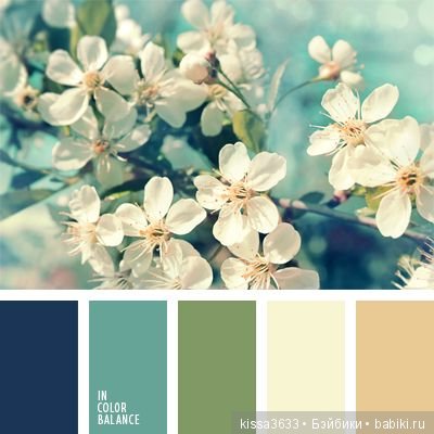 Лexibt сочетания цветов в природе