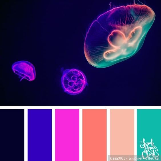 Лexibt сочетания цветов в природе