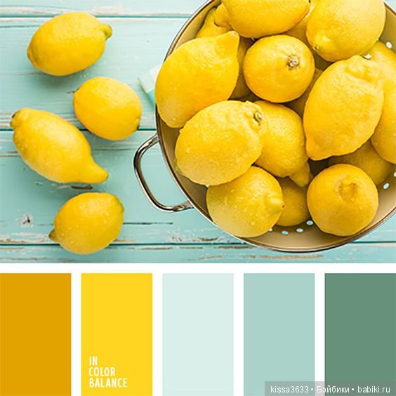 Лexibt сочетания цветов в природе (фото 3)